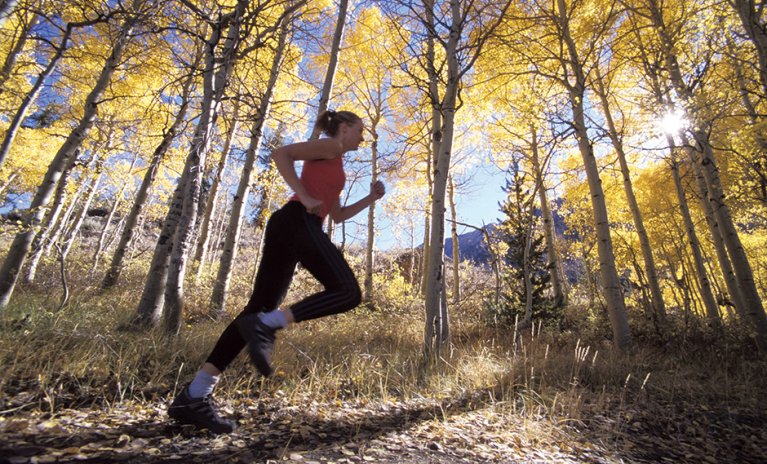 Dayanee Springs Coquitlam