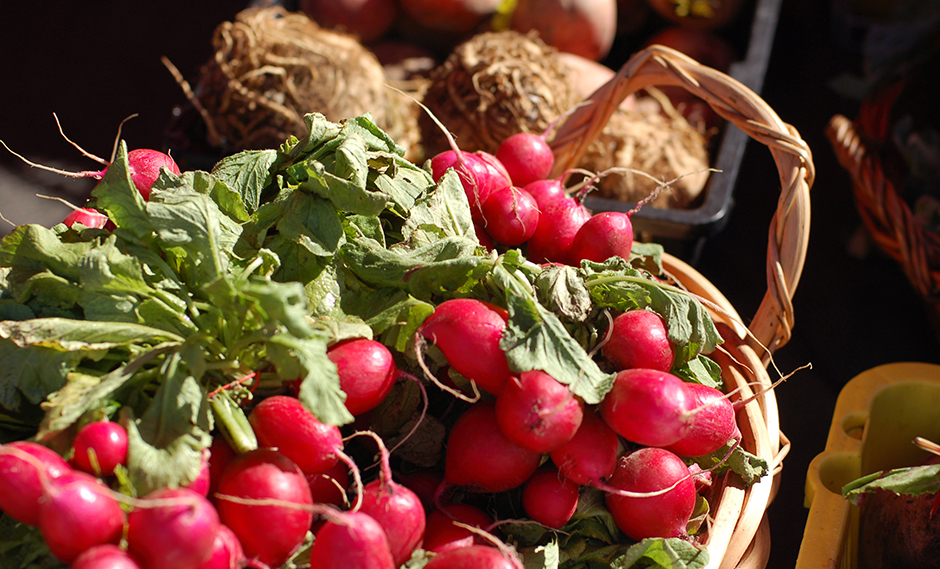 Hampton Cove Ladner Masterplanned Community Polygon