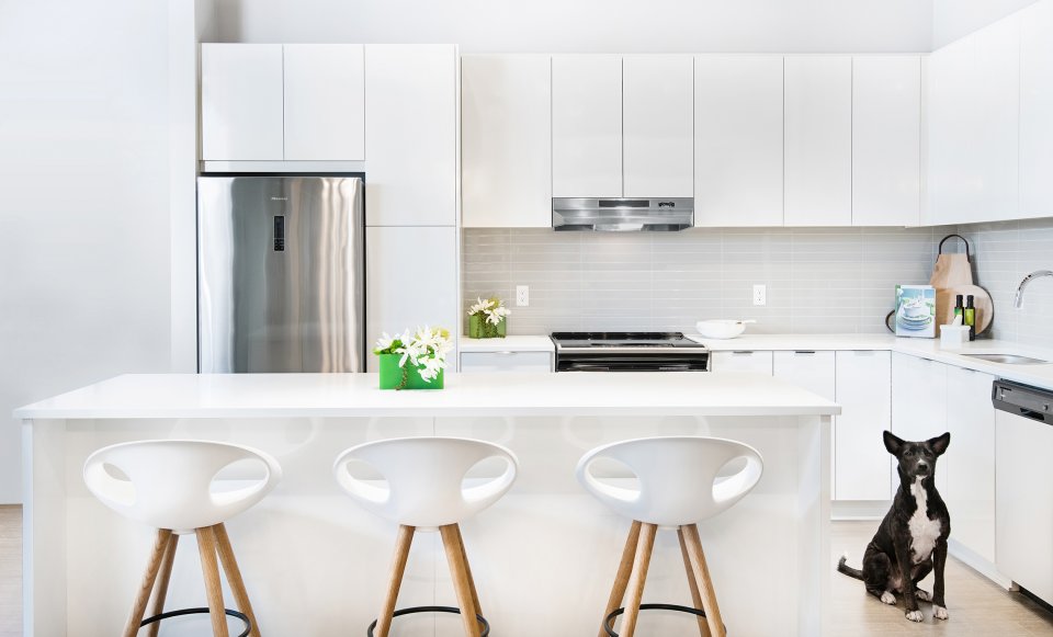 Elmstone at Westerleigh Abbotsford Apartments Polygon Homes